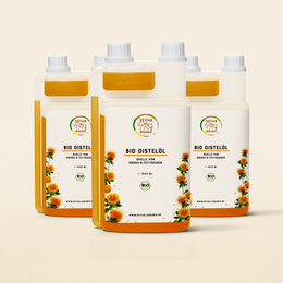 3x1L